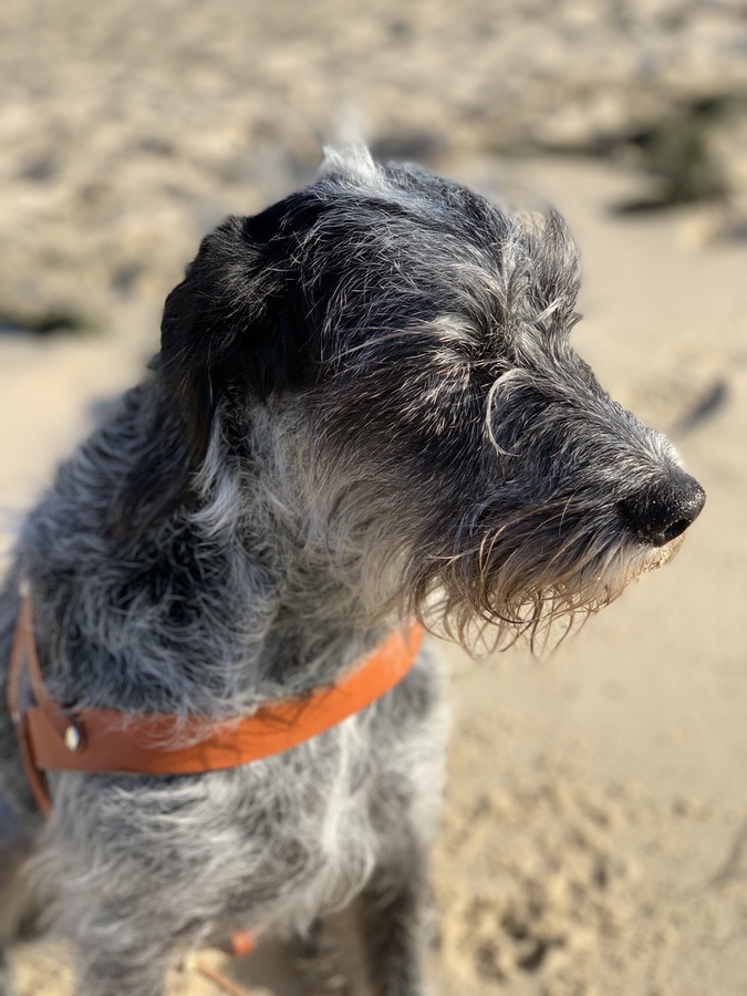 atelier-moderne-jean-pierre-aubagnac-cabane-des-arts-taussat-plage-2