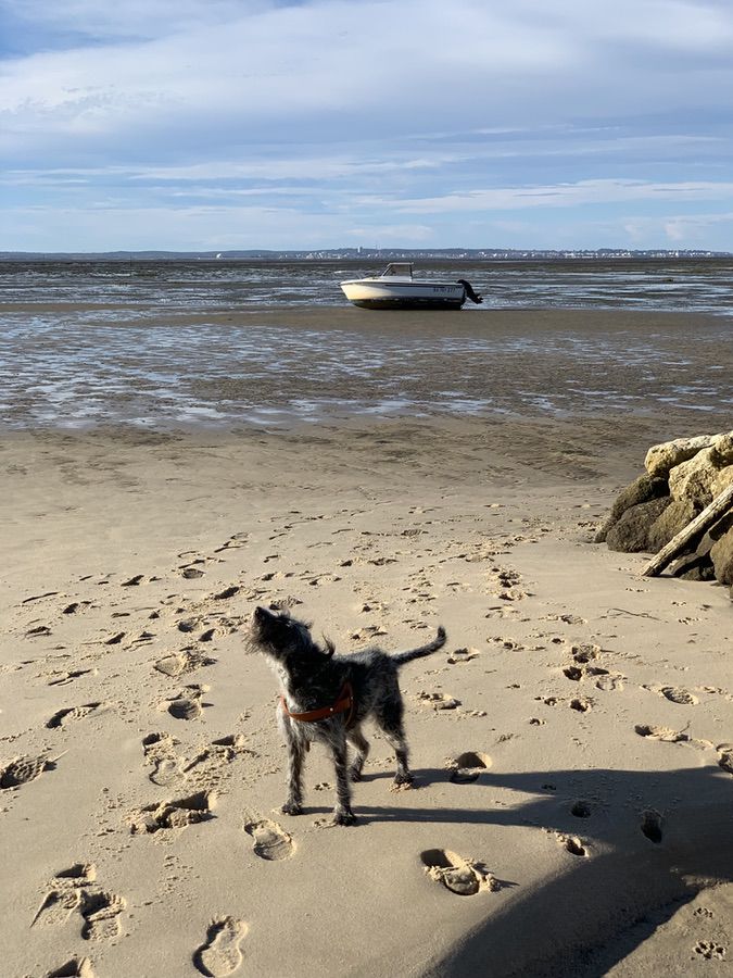 atelier-moderne-jean-pierre-aubagnac-cabane-des-arts-taussat-plage