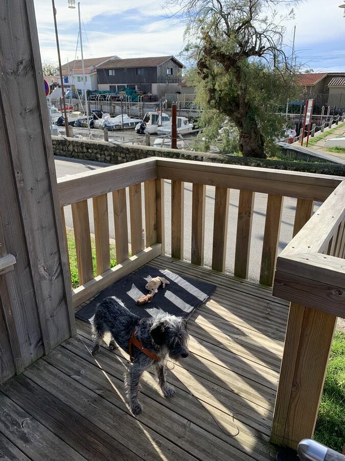 atelier-moderne-jean-pierre-aubagnac-cabane-des-arts-taussat-4